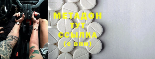 прущие грибы Баксан