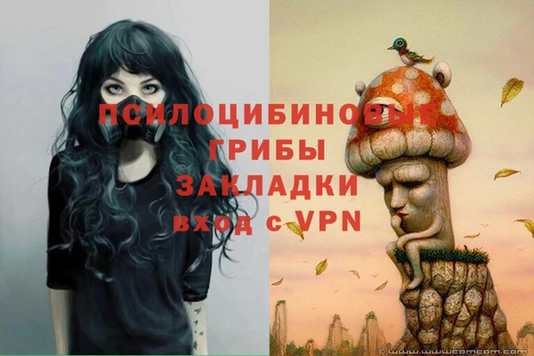 синтетический гашиш Армянск