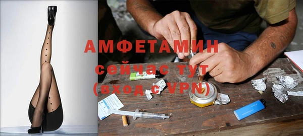прущие грибы Баксан
